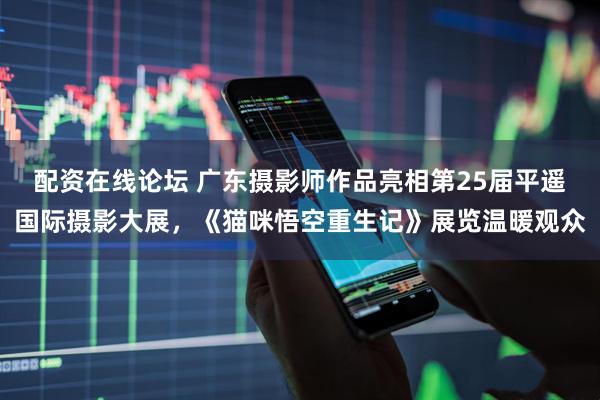 配资在线论坛 广东摄影师作品亮相第25届平遥国际摄影大展,《猫咪悟空重生记》展览温暖观众