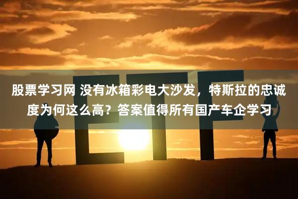 股票学习网 没有冰箱彩电大沙发，特斯拉的忠诚度为何这么高？答案值得所有国产车企学习